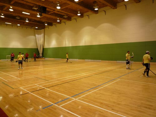 Vue d'ensemble du gymnase